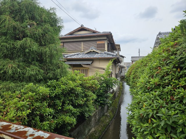 西京区桂乾町の周辺|東側水路