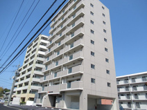 ＳＵＮＳＨＩＮＥ　ＫＡＳＵＧＡの画像