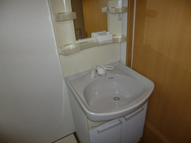 Ｇｒａｎｄ　Ｔｉｅｒの独立洗面台|シャンプードレッサー