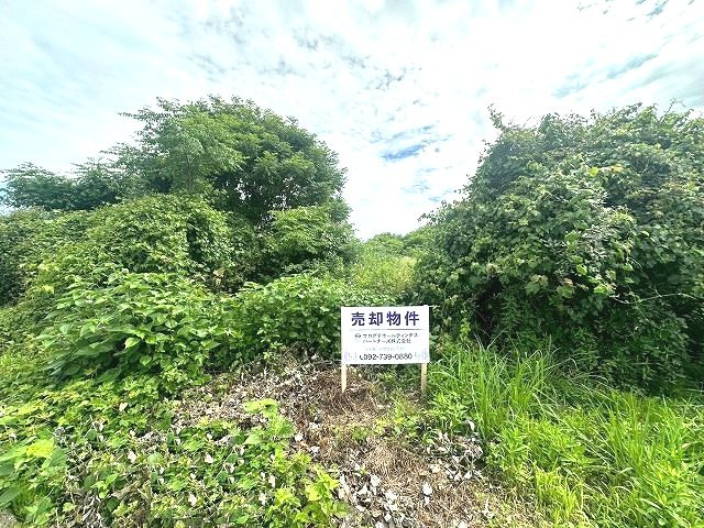 【外観】 | 玉名市小浜土地②