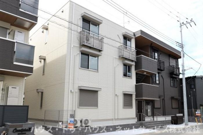 コニフェールⅢ