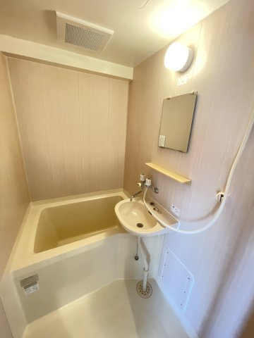 シャトゥソフィアの浴室