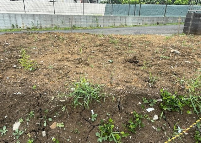 【外観】 | 土地探しをしていると都市計画区域という言葉を目にすると思います。法律によって、都道府県知事や国土交通大臣が指定するエリアのことを指しており、都市計画区域は市街化区域と市街化調整区域に分けられています。