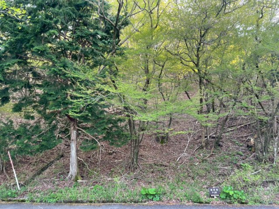 【外観】 | 東急天城高原別荘地　売地