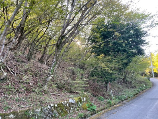 【外観】 | 東急天城高原別荘地　売地