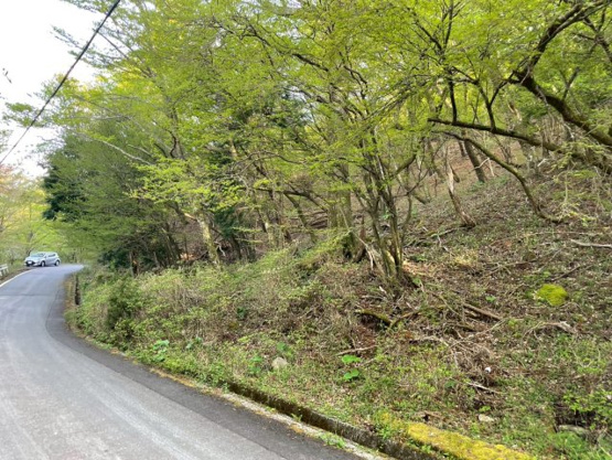 【前面道路含む現地写真】 | 東急天城高原別荘地　売地