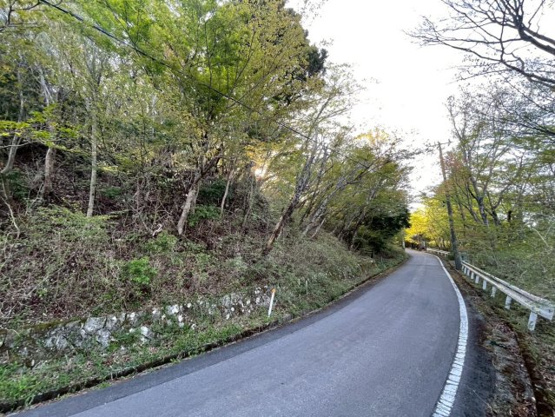 【前面道路含む現地写真】 | 東急天城高原別荘地　売地