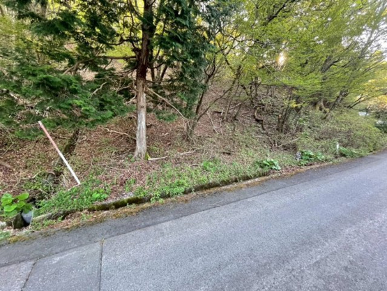 【前面道路含む現地写真】 | 東急天城高原別荘地　売地