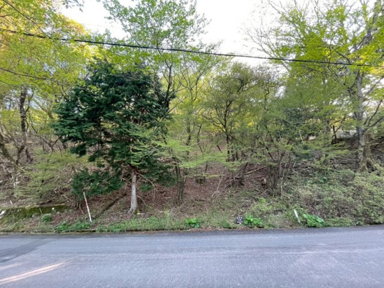 【前面道路含む現地写真】 | 東急天城高原別荘地　売地