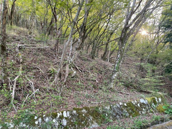 【外観】 | 東急天城高原別荘地　売地