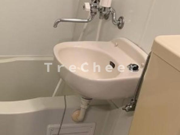 ラセゾンプランタンの洗面所