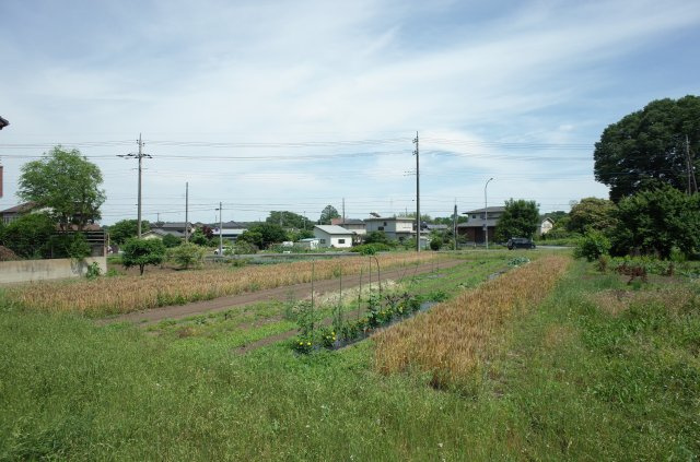 ときがわ町玉川土地 31坪の周辺