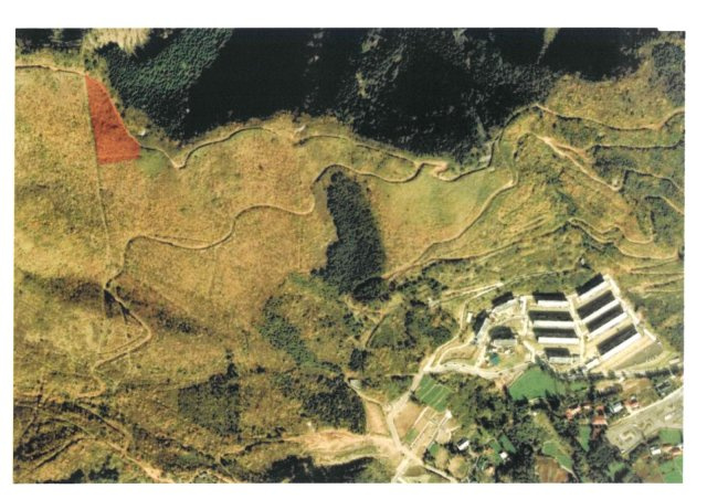 静岡県熱海市伊豆山　土地1700坪の地図