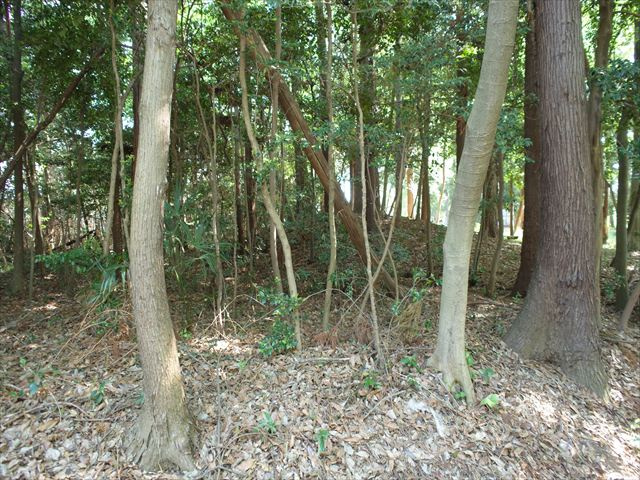 比企郡嵐山町川島　土地375坪の外観