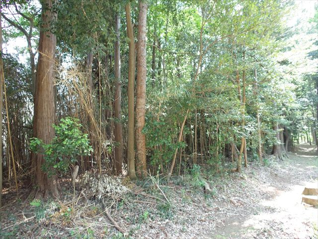 比企郡嵐山町川島　土地375坪の外観