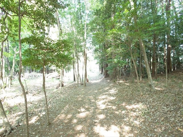 比企郡嵐山町川島　土地375坪の外観