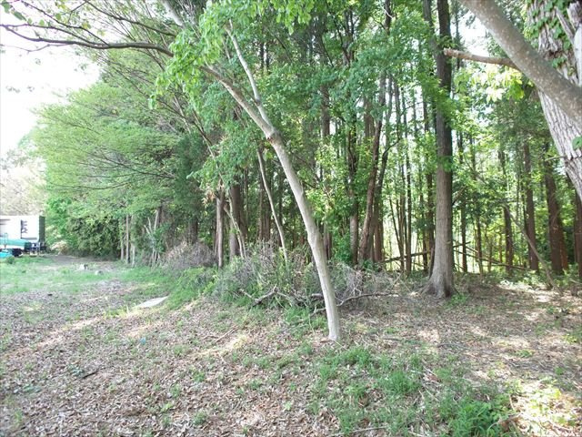 比企郡嵐山町川島　土地375坪の外観