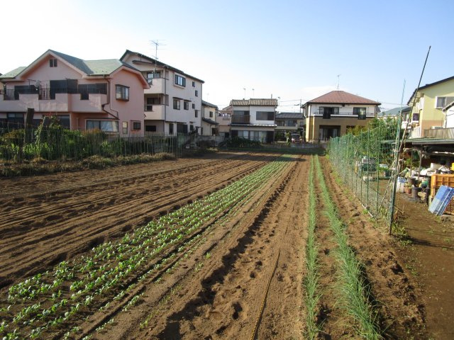 東松山市松山町1丁目　中古戸建の外観|畑付き