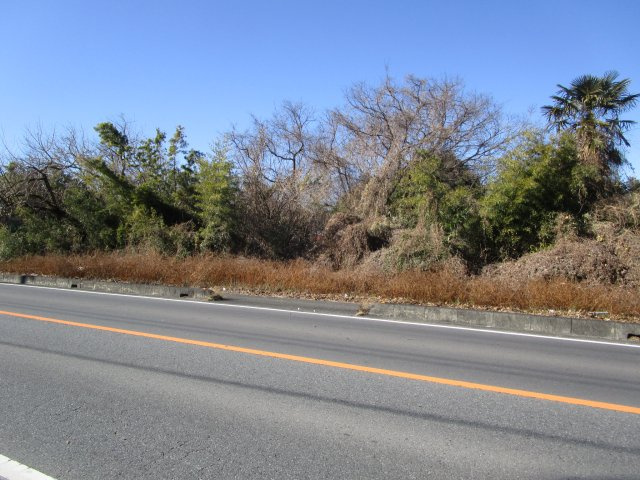 東松山市東平　土地235坪の外観