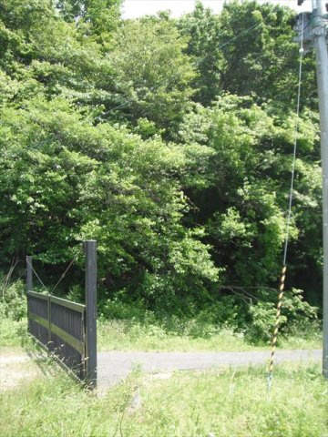 西郷村大字小倉田字黒森　土地199坪の周辺