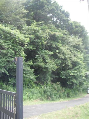 西郷村大字小倉田字黒森　土地199坪の外観
