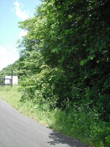 西郷村大字小倉田字黒森　土地199坪の外観