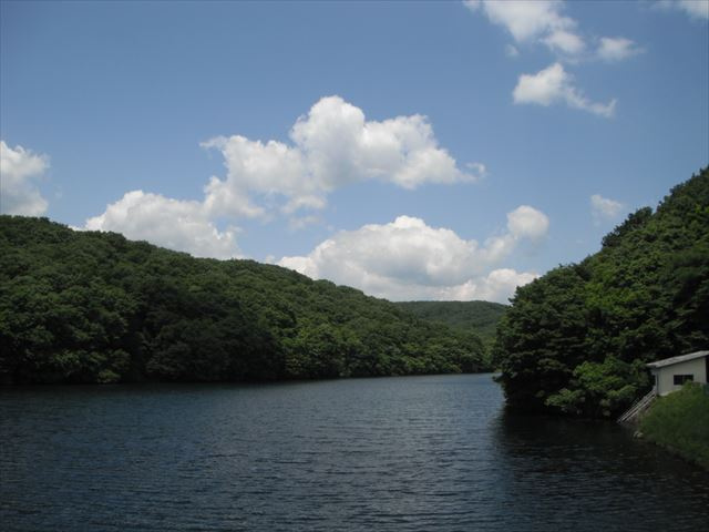 西郷村大字小倉田字黒森　土地199坪の周辺