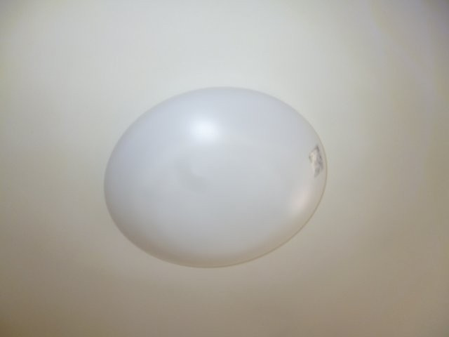 サンキャロットＡの設備|照明