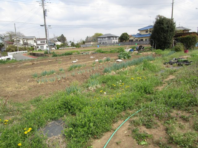 東松山市岡土地　101坪の外観