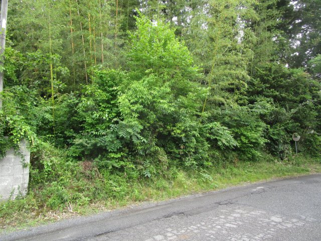 比企郡滑川町羽尾　土地110坪の外観