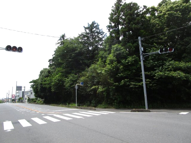 比企郡嵐山町川島　土地492坪の外観