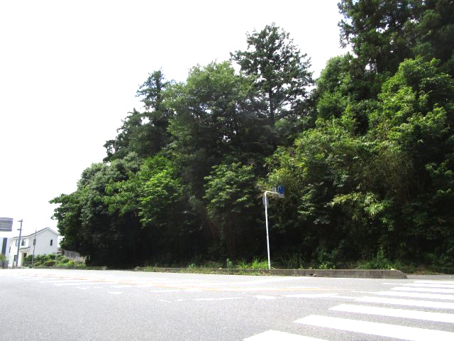 比企郡嵐山町川島　土地492坪の外観