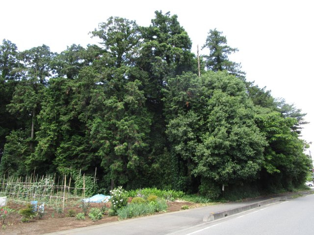 比企郡嵐山町川島　土地492坪の外観