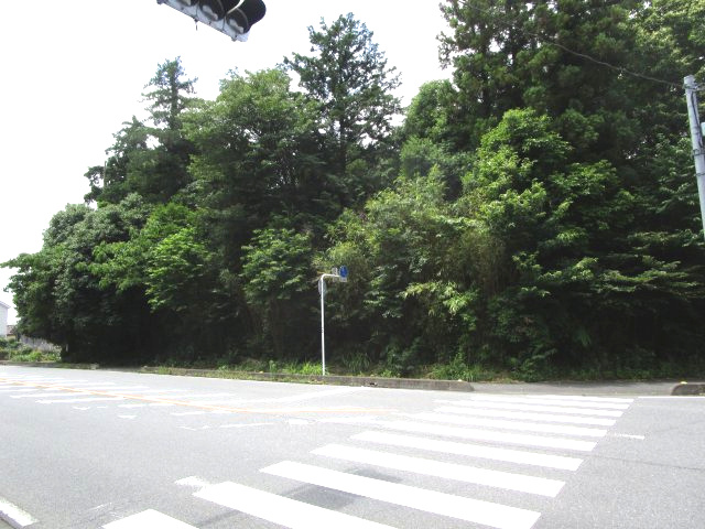 比企郡嵐山町川島　土地492坪の外観