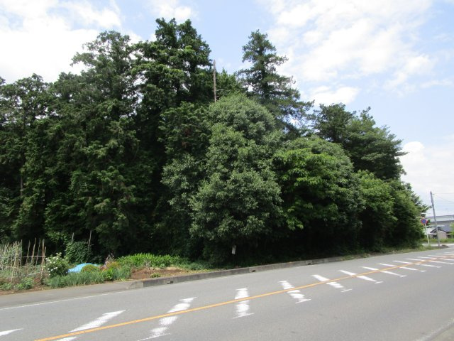 比企郡嵐山町川島　土地492坪の外観