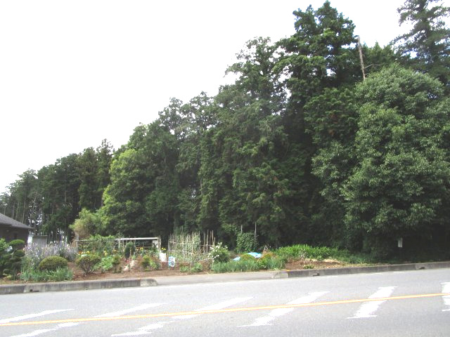 比企郡嵐山町川島　土地492坪の外観