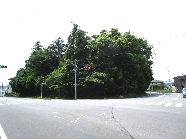 比企郡嵐山町川島　土地492坪の外観