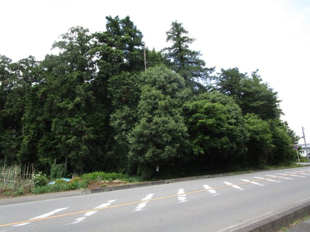 比企郡嵐山町川島　土地492坪の外観