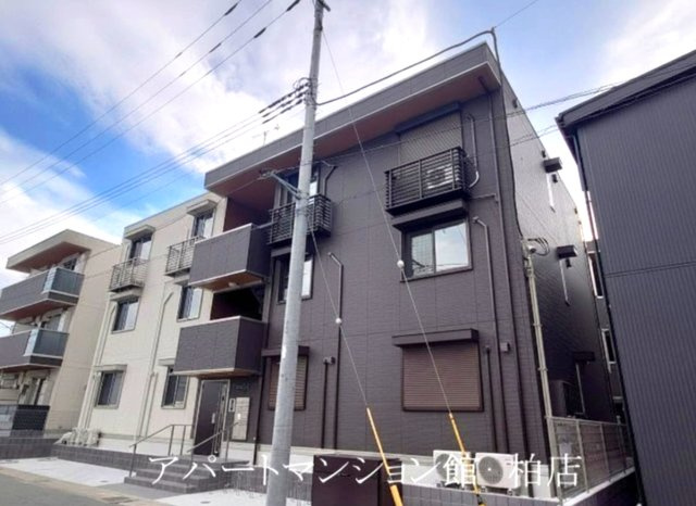 コニフェールⅢ