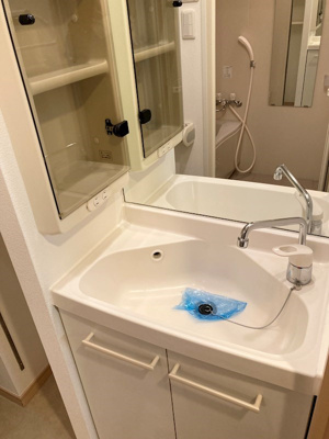 【独立洗面台】 | レジディア大森