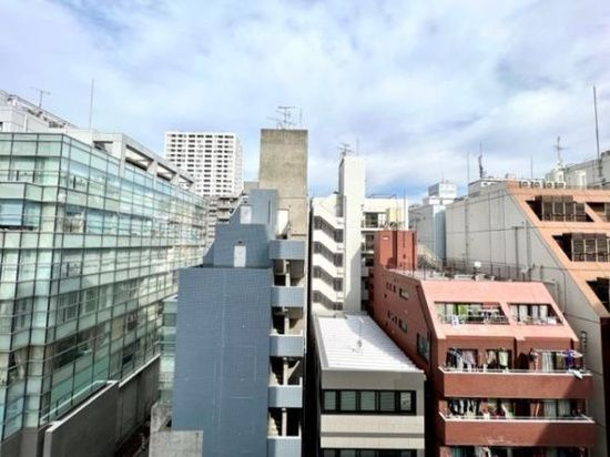 フェリーチェ錦糸町の展望