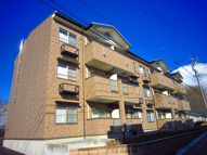 アルフォートAの画像