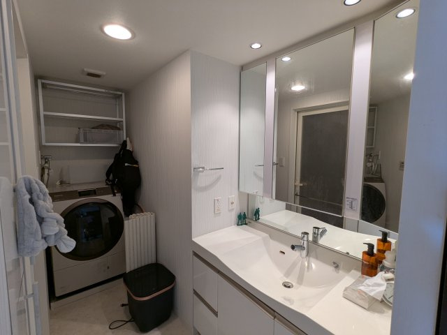 アリストタワー和歌山シティの洗面所