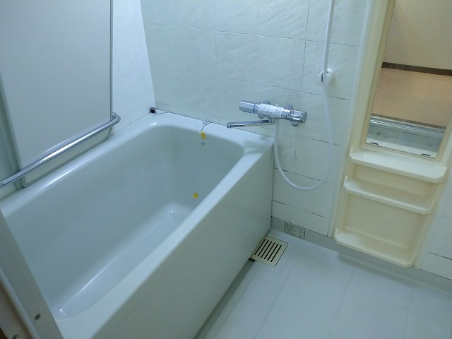 【独立洗面台】 | グランドパレス守恒Ⅱ（B-2）