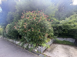 【前面道路含む現地写真】 | 大津市木戸673-5,673-4　売土地 | 2025年06月　撮影