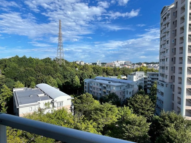 蓮生寺公園通り三番街六号棟の展望
