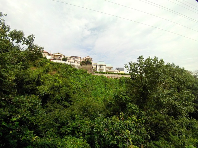 エール箕岡の展望