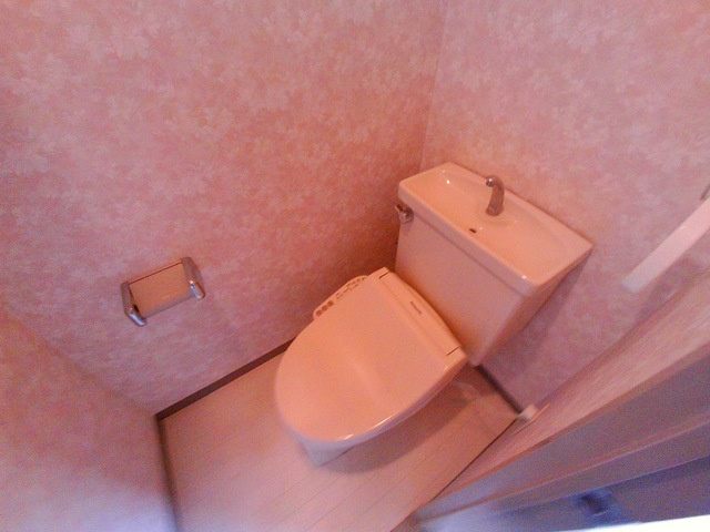 エール箕岡のトイレ