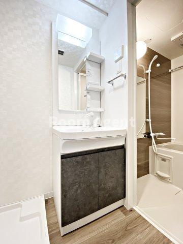 S-RESIDENCE堀田beauteの洗面所