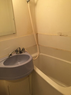  | パラシオン西川口